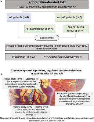 CD5L, Macrophage Apoptosis Inhibitor, Was Identified in Epicardial Fat-Secretome and Regulated by Isoproterenol From Patients With Heart Failure